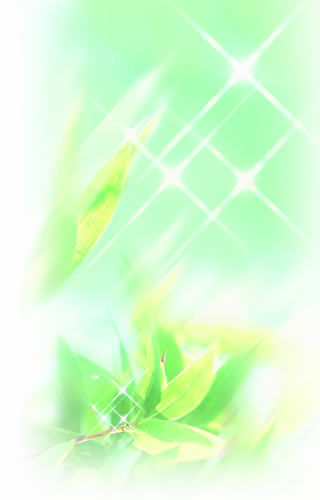 品質・環境方針